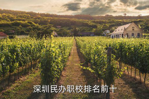  深圳民办职校排名前十