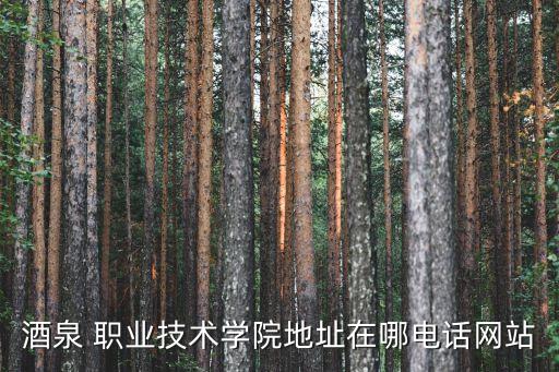 酒泉 职业技术学院地址在哪电话网站