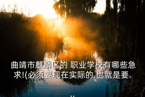  曲靖市麒麟区的 职业学校有哪些急求!(必须要现在实际的,也就是要...