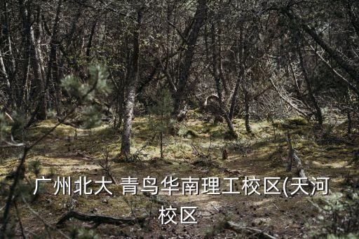 广州青鸟职业学校,青岛求实职业学校