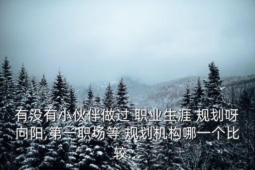 有没有小伙伴做过 职业生涯 规划呀向阳,第一职场等 规划机构哪一个比较...