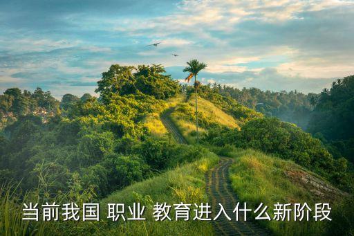 当前我国 职业 教育进入什么新阶段