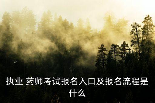 执业 药师考试报名入口及报名流程是什么