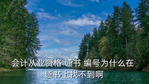会计从业资格 证书 编号为什么在 证书上找不到啊