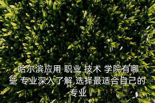  哈尔滨应用 职业 技术 学院有哪些 专业深入了解,选择最适合自己的 专业