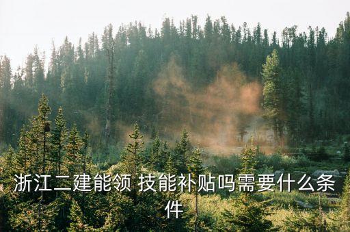 浙江二建能领 技能补贴吗需要什么条件