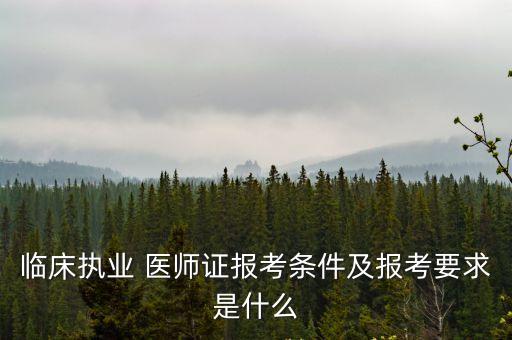 临床执业 医师证报考条件及报考要求是什么