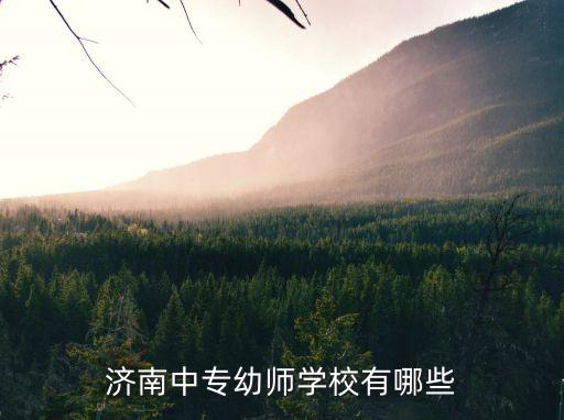 济南中专幼师学校有哪些
