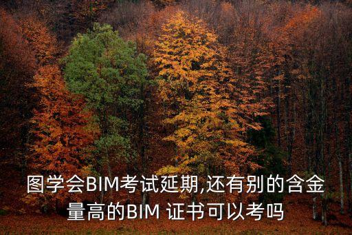 bim职业资格证书报名时间,BIM国家职业资格证书