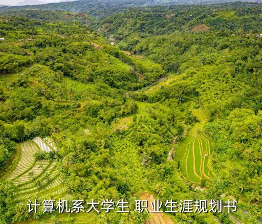  计算机系大学生 职业生涯规划书