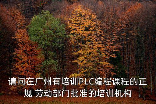 请问在广州有培训PLC编程课程的正规 劳动部门批准的培训机构