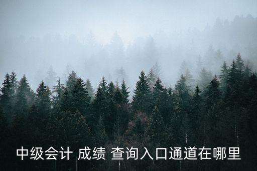 福建省职业证书考试成绩查询,1 x证书考试成绩查询