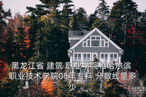 黑龙江省 建筑 职业学院和哈尔滨 职业技术学院08年专科 分数线是多少