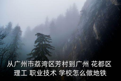 从广州市荔湾区芳村到广州 花都区 理工 职业技术 学校怎么做地铁
