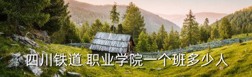  四川铁道 职业学院一个班多少人