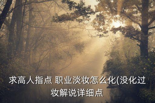 求高人指点 职业淡妆怎么化(没化过妆解说详细点