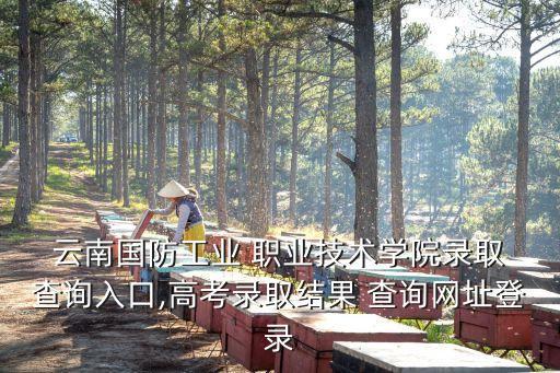  云南国防工业 职业技术学院录取 查询入口,高考录取结果 查询网址登录