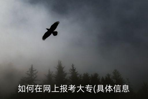 如何在网上报考大专(具体信息