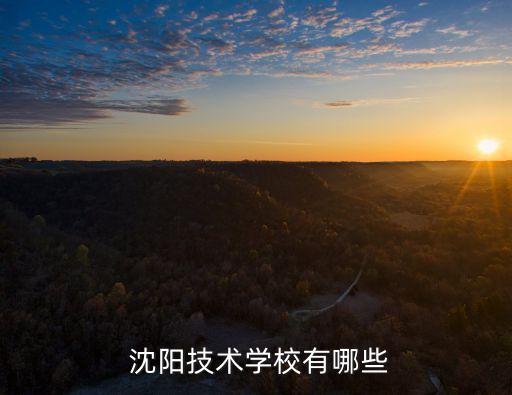  沈阳技术学校有哪些