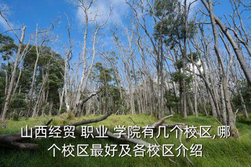 山西经贸 职业 学院有几个校区,哪个校区最好及各校区介绍