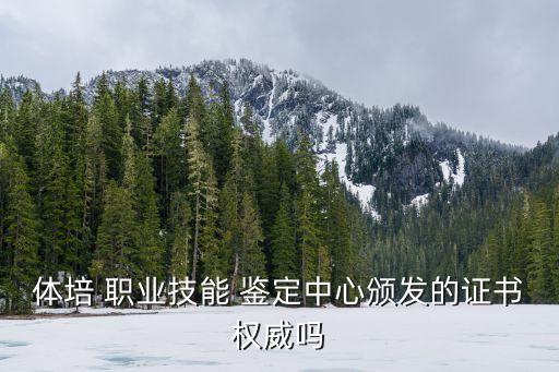 体培 职业技能 鉴定中心颁发的证书权威吗