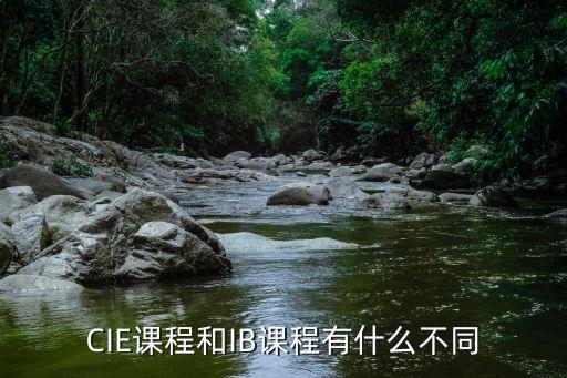 剑桥职业资格证cie,剑桥考官资格证怎么考