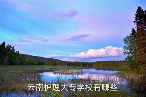 云南护理大专学校有哪些