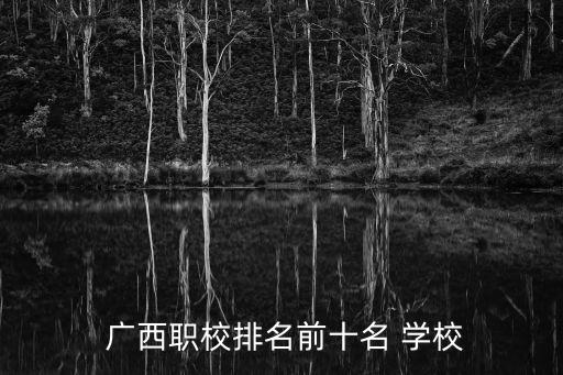  广西职校排名前十名 学校