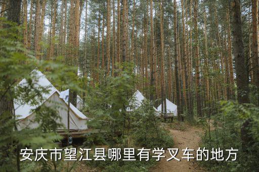 合肥力合职业学校,合肥立信职业学校怎么样