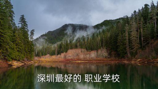 华强职业技术学校贴吧,深圳市华强职业技术学校自主招生