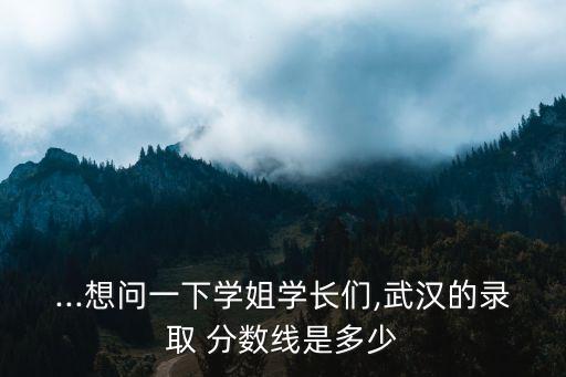 ...想问一下学姐学长们,武汉的录取 分数线是多少