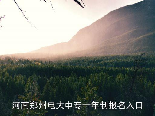 郑州市职业资格证书网,国家职业资格二级证书有哪些