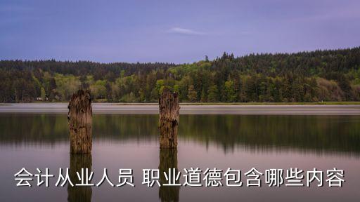 财务的职业道德主要体现在