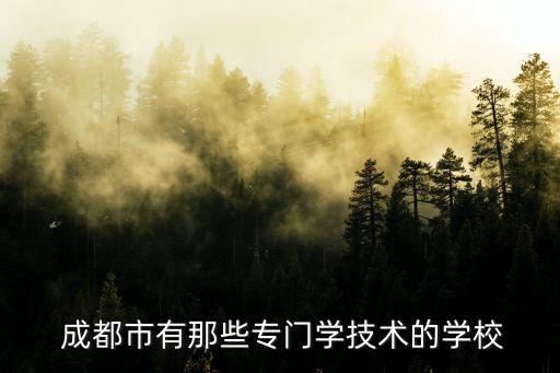  成都市有那些专门学技术的学校