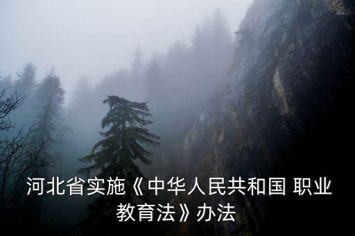  河北省实施《中华人民共和国 职业教育法》办法