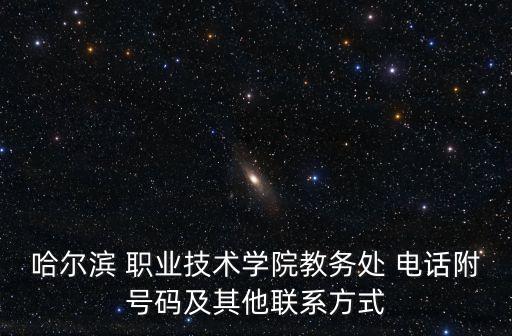 哈尔滨 职业技术学院教务处 电话附号码及其他联系方式