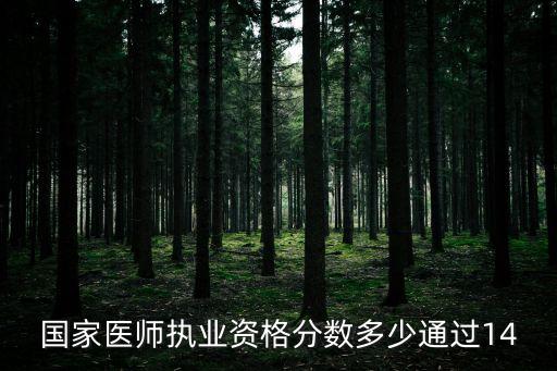 国家医师执业资格分数多少通过14