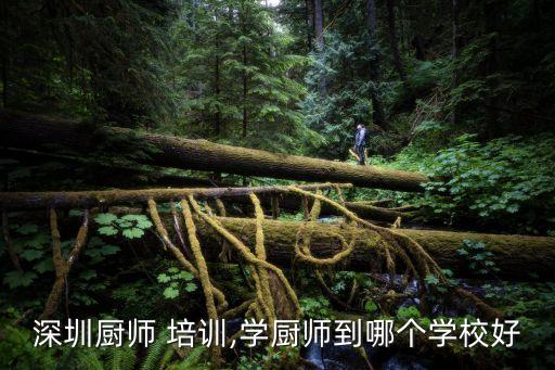 深圳厨师 培训,学厨师到哪个学校好