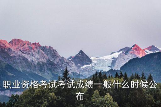 职业资格考试考试成绩一般什么时候公布