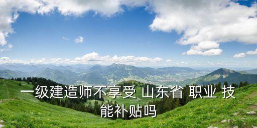 一级建造师不享受 山东省 职业 技能补贴吗