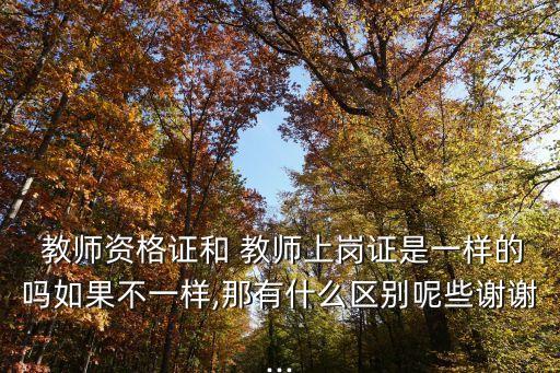 职业培训学校教师证,民办职业培训学校教师管理制度