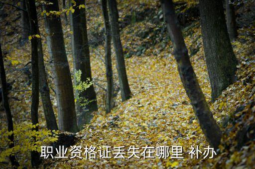 职业证书能补办吗,护士执业证书补办