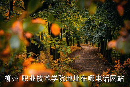 柳州 职业技术学院地址在哪电话网站