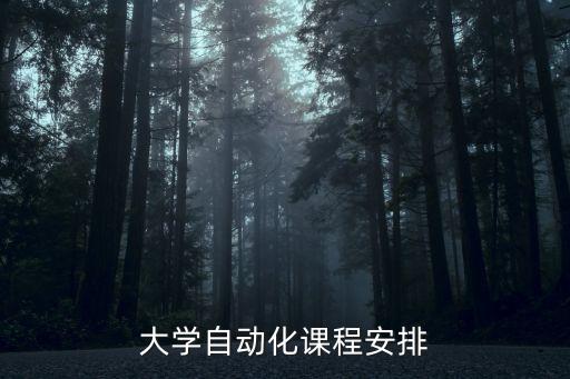 大学自动化课程安排