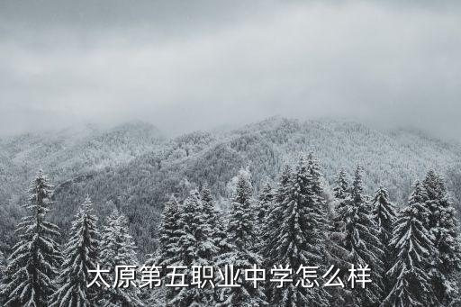 太原第五职业中学怎么样