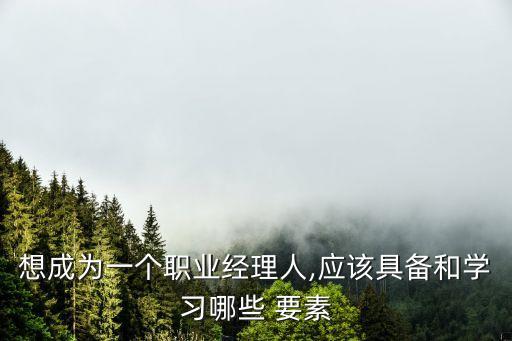 想成为一个职业经理人,应该具备和学习哪些 要素