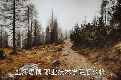 上海思博 职业技术学院怎么样