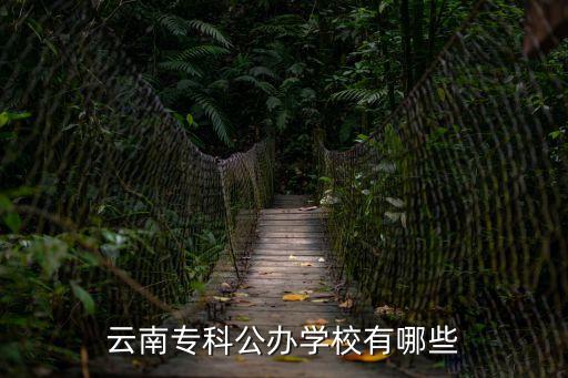 云南专科公办学校有哪些