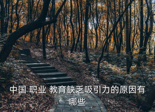 中国 职业 教育缺乏吸引力的原因有哪些