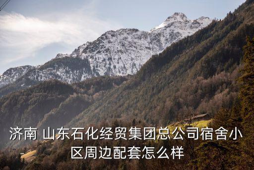 济南 山东石化经贸集团总公司宿舍小区周边配套怎么样